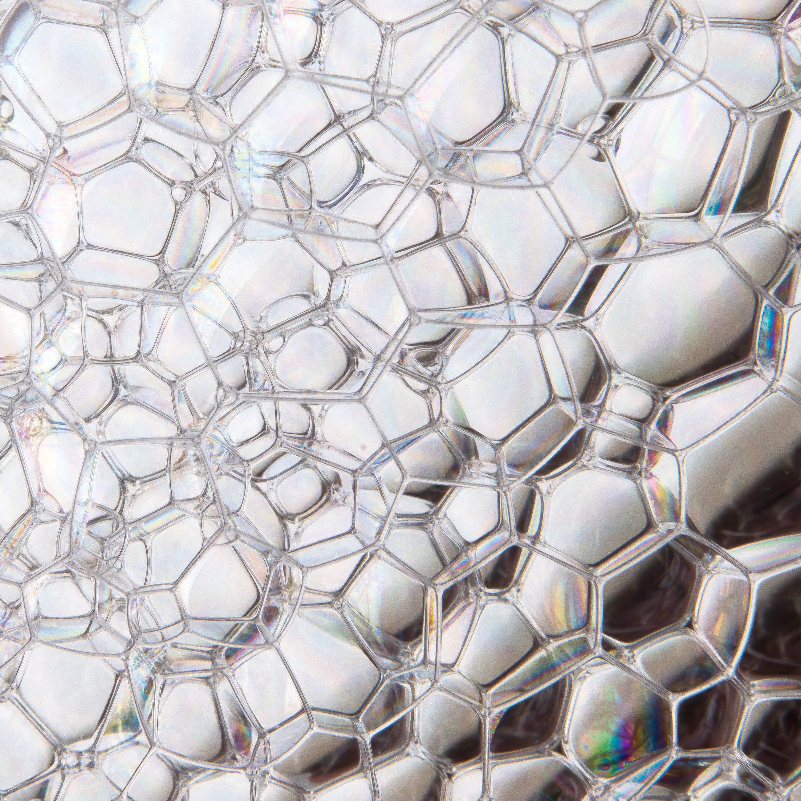 4-IN-1 Performance Spray