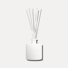 Scent inspired by Daily Routine Shampoo